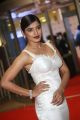 Actress Sanchita Shetty @ 64th Filmfare Awards 2017 South Red Carpet Stills