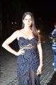 Actress Lavanya Tripathi @ 64th Filmfare Awards 2017 South Red Carpet Stills