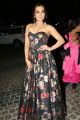 Actress Catherine Tresa @ 65th Jio Filmfare Awards South 2018 Photos