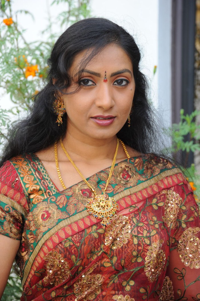 Telugu Actress Aamani Stills Aamani In Cute Saree Pictures 