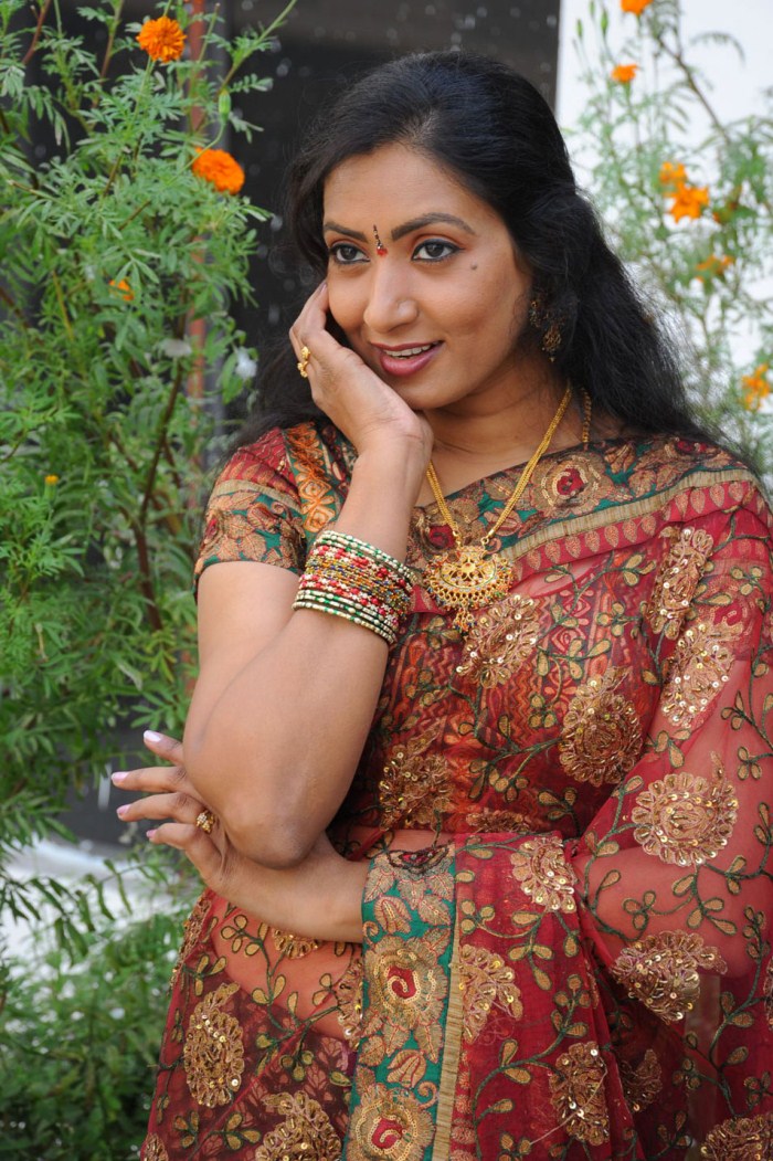 Telugu Actress Aamani Stills Aamani in Cute Saree Pictures ...