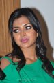 Amala Paul New Photos