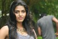 Actress Dhanshika Wallpapers