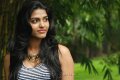 Actress Dhanshika Wallpapers