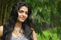 Actress Dhanshika Wallpapers