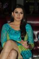 Actress Hansika Motwani Hot Spicy Photos