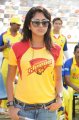 Amala Paul in Chennai Rhinos Vs Kerala Strikers Match