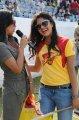 Amala Paul in Chennai Rhinos Vs Kerala Strikers Match