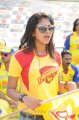 Amala Paul in Chennai Rhinos Vs Kerala Strikers Match