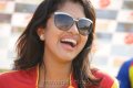 Amala Paul in Chennai Rhinos Vs Kerala Strikers Match