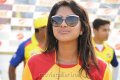 Amala Paul in Chennai Rhinos Vs Kerala Strikers Match