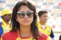 Amala Paul in Chennai Rhinos Vs Kerala Strikers Match