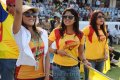 Amala Paul in Chennai Rhinos Vs Kerala Strikers Match