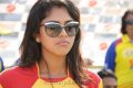 Amala Paul in Chennai Rhinos Vs Kerala Strikers Match