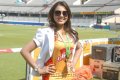 Madhu Shalini @ Chennai Rhinos Vs Kerala Strikers Match