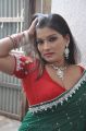 Tamil Actress Kumtaj Hot Saree Photosi