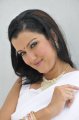 Actress Leena Sidhu in White Saree Stills