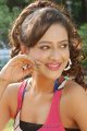 Madalasa Sharma New Hot Stills