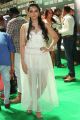 Actress Meghana Gaonkar Stills @ IIFA Utsavam 2017 Green Carpet