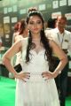 Actress Meghana Gaonkar Stills @ IIFA Utsavam 2017 Green Carpet