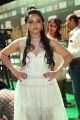 Actress Meghana Gaonkar Stills @ IIFA Utsavam 2017 Green Carpet