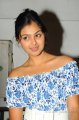 Actress Monal Gajjar Hot Stills