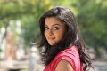 Tamil Actress Nakshatra Stills Photos Gallery