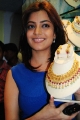 Telugu Actress Nisha Agarwal Latest Stills