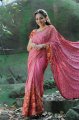 Actress Nithya Menon in Saree Stills