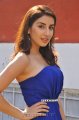 Actress Parul Gulati Hot Pics