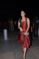 Suja Latest Photos @ Santosham Film Awards 2011