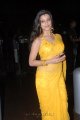 Madhurima Hot Saree Pics @ Santosham Film Awards 2011