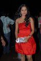 Rachana Maurya New Pics @ Santosham Film Awards 2011