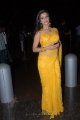 Madhurima Hot Saree Pics @ Santosham Film Awards 2011