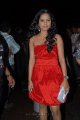 Rachana Maurya New Pics @ Santosham Film Awards 2011