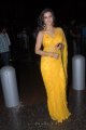 Madhurima Hot Saree Pics @ Santosham Film Awards 2011