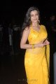 Madhurima Hot Saree Pics @ Santosham Film Awards 2011