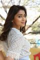 Actress Shriya Saran New Pictures