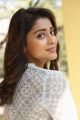 Telugu Actress Shriya Saran New Pictures