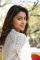 Telugu Actress Shriya Saran New Pictures