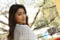 Telugu Actress Shriya Saran New Pictures