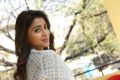 Telugu Actress Shriya Saran New Pictures