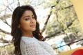 Telugu Actress Shriya Saran New Pictures