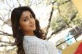 Telugu Actress Shriya Saran New Pictures