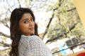 Telugu Actress Shriya Saran New Pictures