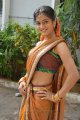 Telugu Actress Sruthi Hot in Saree Stills