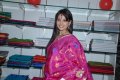 cute_supriya_shailja_shubam_silk_sarees_festival_35678