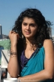 Tapsee Latest Cute Hot Photos in Mr Perfect