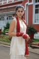 Tapsee Latest Cute Hot Photos in Mr Perfect