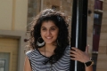 Tapsee Latest Cute Hot Photos in Mr Perfect